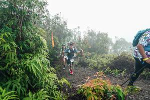 BIB: 
                            <button type="button" onclick="openModal(26272109)" class="btn btn-primary btn-sm float-right btn-popup" data-toggle="modal" data-target=".modal-high-quality">
                        <i class="fas fa-shopping-cart"></i> Add to Cart
                    </button>
                                            <button type="button" onclick="isThisMe(26272109, true)" class="btn btn-success btn-sm float-right btn-popup btn-isme hidden" data-toggle="tooltip" data-placement="bottom" title="นี่คือรูปของคุณใช่ไหม คลิกที่นี่เพื่อเอาเข้าอัลบั้ม">
                        <i class="fas fa-plus"></i> Add to album
                    </button>
                    <button type="button" onclick="isThisMe(26272109, false)" class="btn btn-warning btn-sm float-right btn-popup btn-isnotme hidden">
                        <i class="fas fa-ban"></i> Remove from album
                    </button>